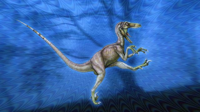 RAPTOR