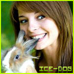 ICE-DOG